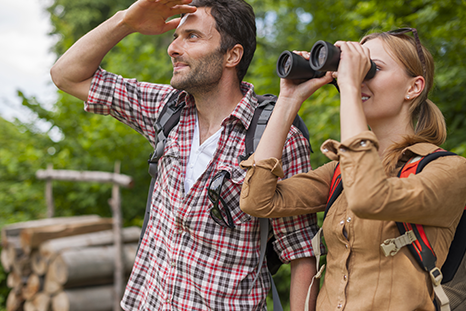Osservazione della fauna selvatica